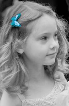 Description: C:\Users\Will\Desktop\Wedding Photography Gallery\small\IMG_5072_butterfly_crop.jpg